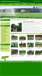 Mobile Screenshot of chineseficus.com